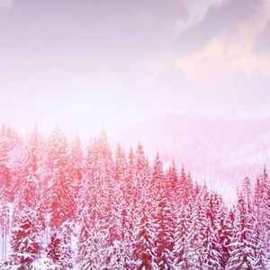 Meet your Posher, Candy